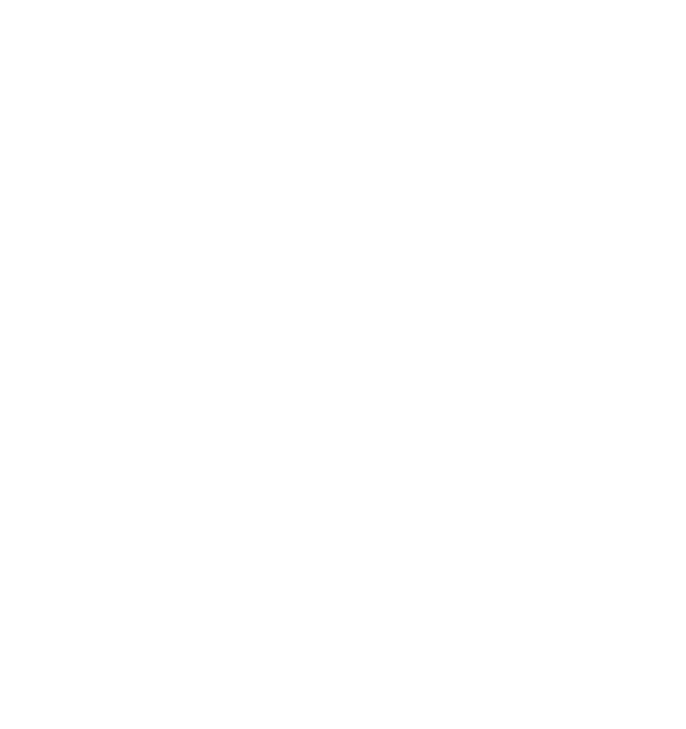 Internal Security Forces